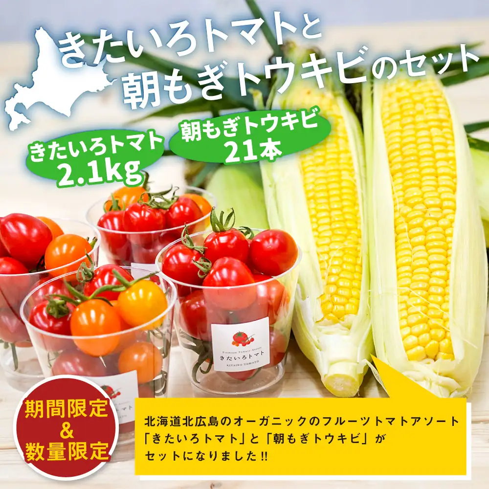 きたいろトマト （2.1kg）と 朝もぎトウキビ （21本）のセット 【2026年8月上旬～9月上旬発送予定】 トマト とうもろこし トウモロコシ 野菜 朝採れ オーガニック