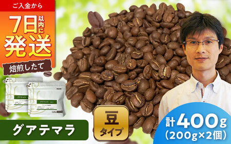 グアテマラコーヒー(豆)　ロハ　200g×2 / 珈琲 コーヒー グアテマラ / Coffee SAKURA[BBAB132]