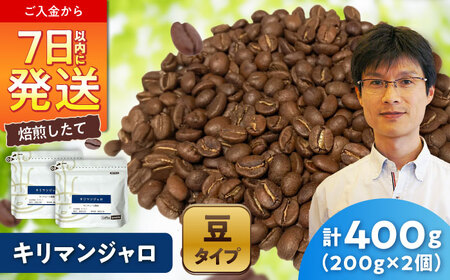 キリマンジャロコーヒー(豆)　モンデュール農園　200g×2 / 珈琲 コーヒー キリマンジャロ / Coffee SAKURA[BBAB134]