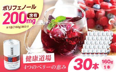 健康道場 4つのベリーの恵み 160g×30本[AOAD052]健康飲料
