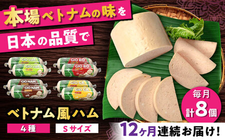 【全12回定期便】ベトナムハム Sサイズ 4種セット / ハム ベトナム料理 [BBBE012]