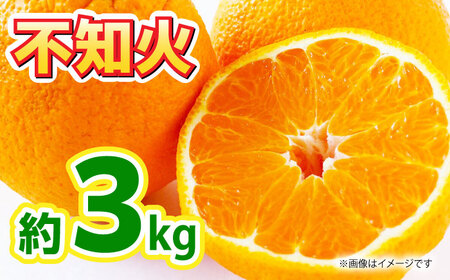 【先行予約】不知火 約3kg不知火はデコポンと同品種ZBG080