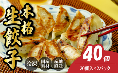 餃子 本格生餃子 40個 | ぎょうざ 冷凍 北本フーズ