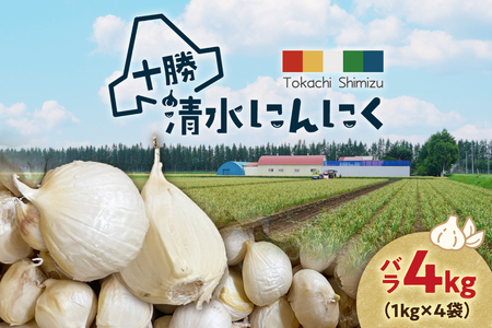 【北海道産】十勝育ちのにんにく バラ4kg _S021-0025