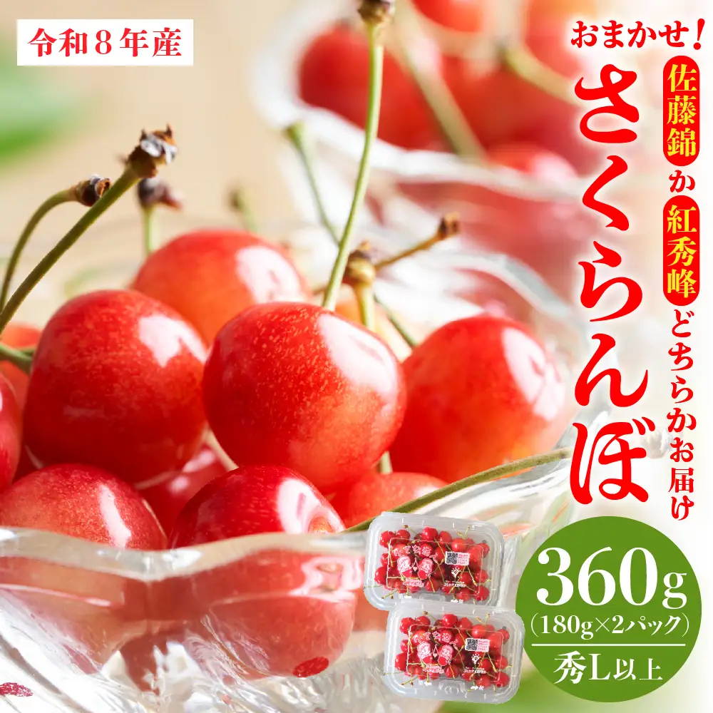 さくらんぼ 佐藤錦 紅秀峰 360g 秀L以上 令和8年産 さくらんぼ