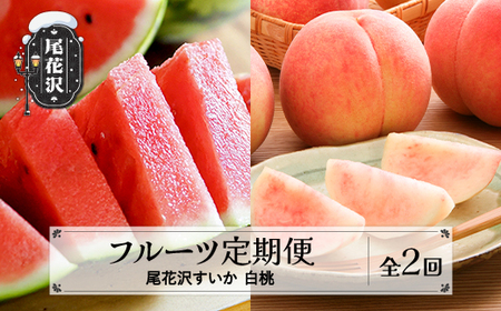 【先行予約】フルーツ定期便  全2回  スイカ もも 令和8年産  sb-fts2x-b-mo