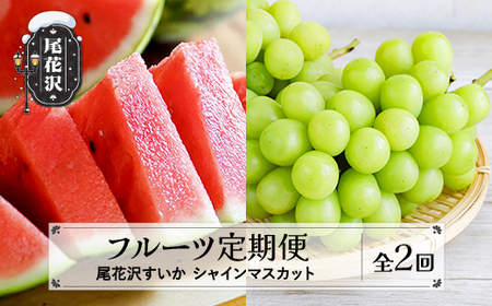 【先行予約】フルーツ定期便  全2回  スイカ シャインマスカット  令和8年産 sb-fts2x-b-bu