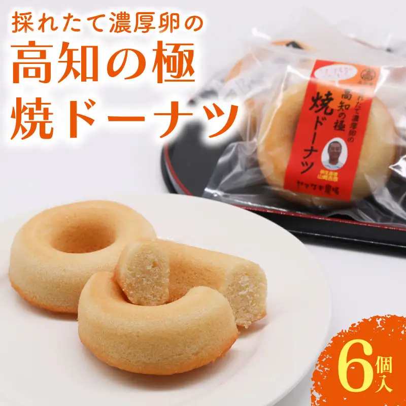 焼きドーナツ 高知の極 6個入 焼き菓子 お菓子 菓子 洋菓子 家庭用菓子 ギフト