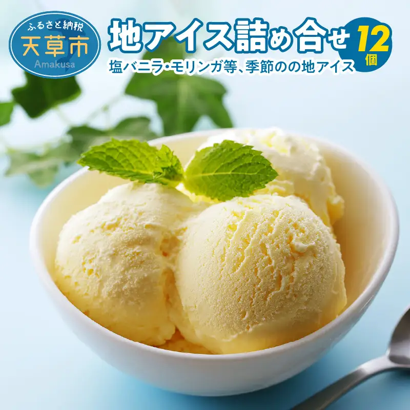 S030-001A_地アイス詰め合せ 12個(塩バニラ・モリンガ等、季節の地アイス)　/ アイス アイスクリーム 冷凍アイス 地アイス