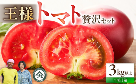 王様 トマト 贅沢 セット M001-003 野菜 三浦野菜