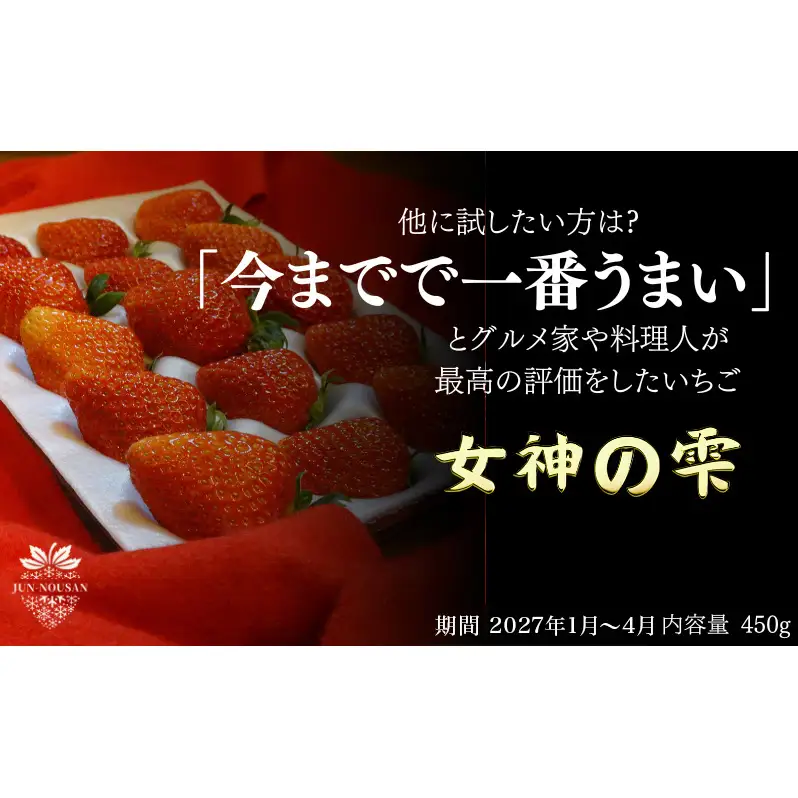 ＜先行予約＞「今までで1番うまい」とグルメ家がうなったイチゴ【女神の雫】 450g 2027年 1月 2月 3月 4月 450g 岐阜県 美濃市 じゅん農産 1 苺 イチゴ いちご フルーツ 甘い 旬 お取り寄せ