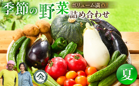 ボリューム 満点 ！ 季節の野菜 詰め合わせ（ 夏 ） M001-004-01 野菜 三浦野菜
