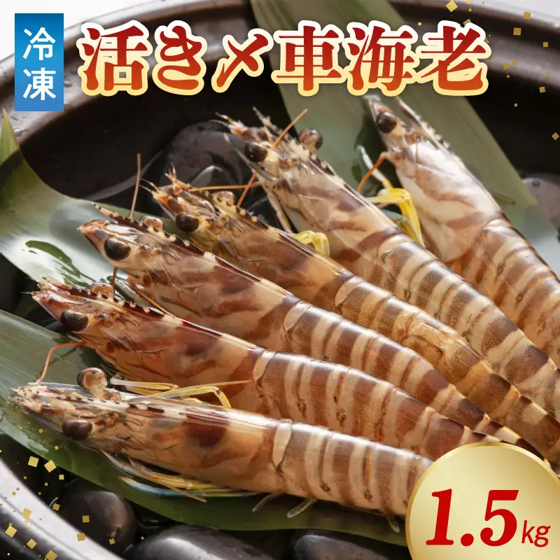 S065-004A_活き〆冷凍車海老 1.5kg (500g×3パック)  / 車エビ 車海老 エビ えび
