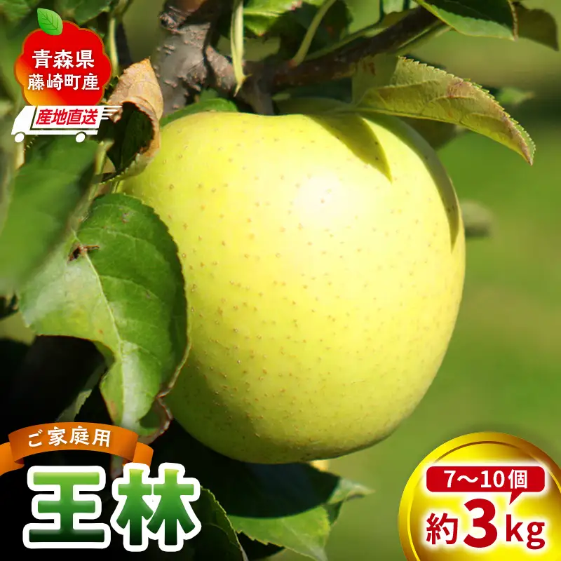 ＜産地直送＞ 王林 家庭用 約3kg(7～10個) りんご リンゴ 林檎 果物 フルーツ F41-0077
