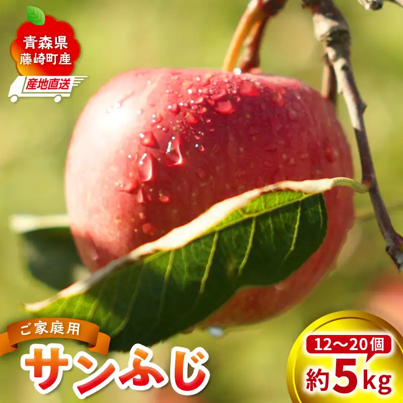 ＜産地直送＞ サンふじ 家庭用 約5kg（12～20個） りんご リンゴ 林檎 果物 フルーツ F41-0075