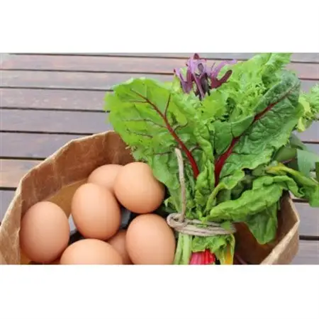 自然のまま育った野菜7種類と平飼有精卵のセット【配送不可地域：離島】【1407484】