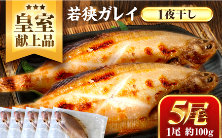 献上鰈 上品な味わい 若狭かれい一夜干し 約100g×5尾セット / 干物 魚介 冷凍 ギフト 小浜市 / まるほ商店 【配送不可地域：北海道・沖縄・離島】[BFCS059]
