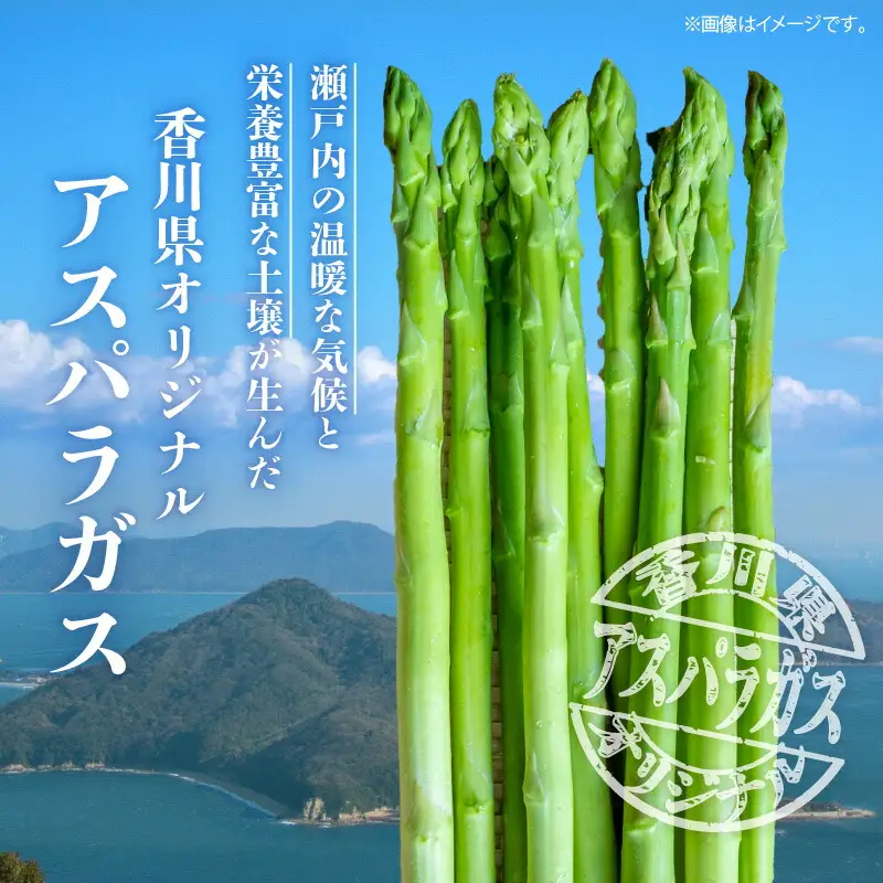 さぬきのめざめ　1kg