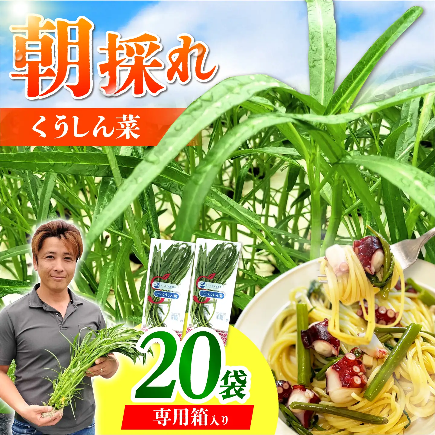 新鮮朝採れ くうしん菜 大容量パック 20袋 / 葉物野菜 / 亀山市 / グリーンハウス吉田[AMCD001]