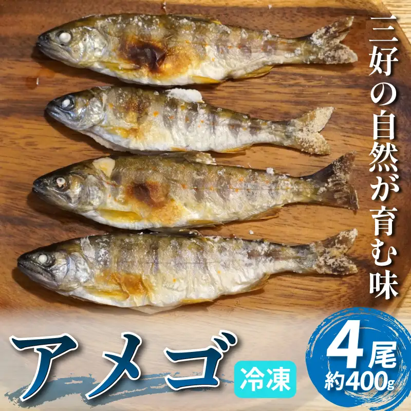 川魚 あめご 天魚 4尾 400g前後 あまご【 川魚 】