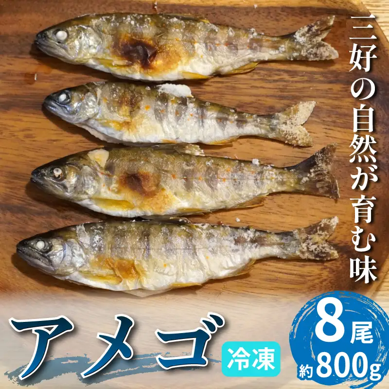 川魚 あめご 天魚 8尾 800g前後 あまご【 川魚 】