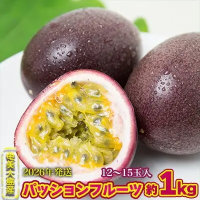 2026年発送【奄美大島産】香り爽やかパッションフルーツ 約1kg 果物 フルーツ