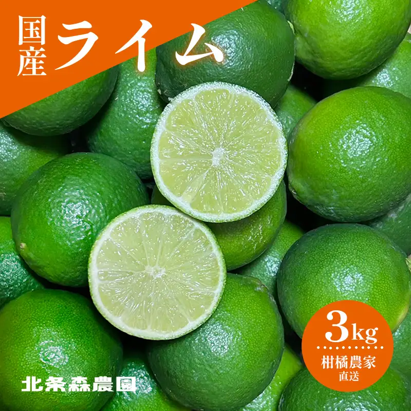 【2026年9月中旬頃から順次発送】さわやか果実 ライム 約3kg | ライム みかん 柑橘 国産ライム ジュース カクテル スイーツ サラダ 愛媛 松山 北条 果物 フルーツ 産地直送【HMN013】