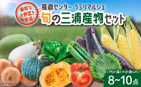 産直センターうらりマルシェ　 旬の三浦産物セット M033-002 野菜 三浦野菜