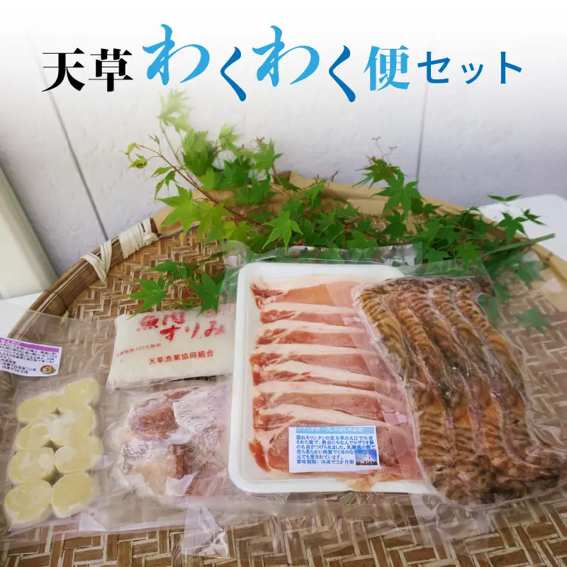 S059-001A_天草わくわく便セット(冷凍車海老、魚のすり身、ロザリオポークなど) / 海老 豚肉 野菜 すり身 えび