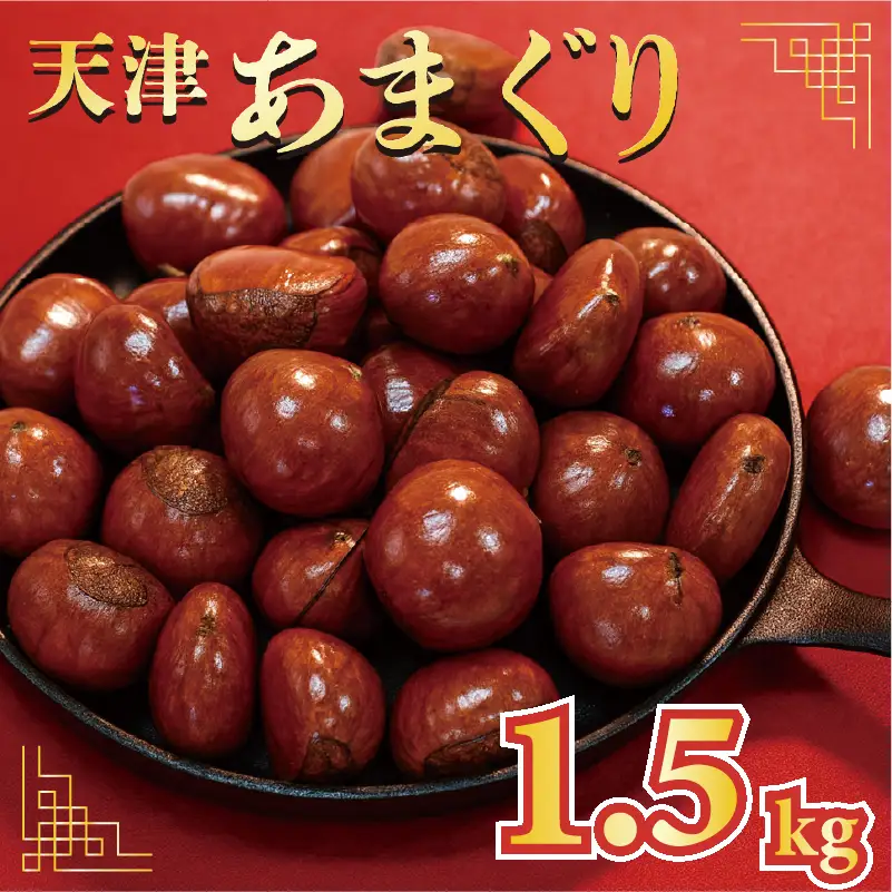 天津甘栗 1.5kg 京都 【甘栗】