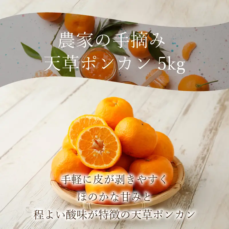 S040-006A_農家の手摘み天草ポンカン 約5kg〈先行受付〉/ ポンカン ぽんかん 柑橘 みかん フルーツ