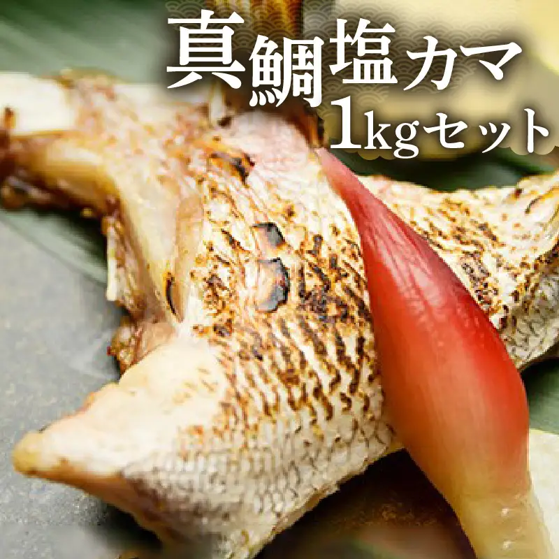 S010-038_真鯛塩カマボリュームセット 1kg / 鯛 真鯛 タイ 塩カマ