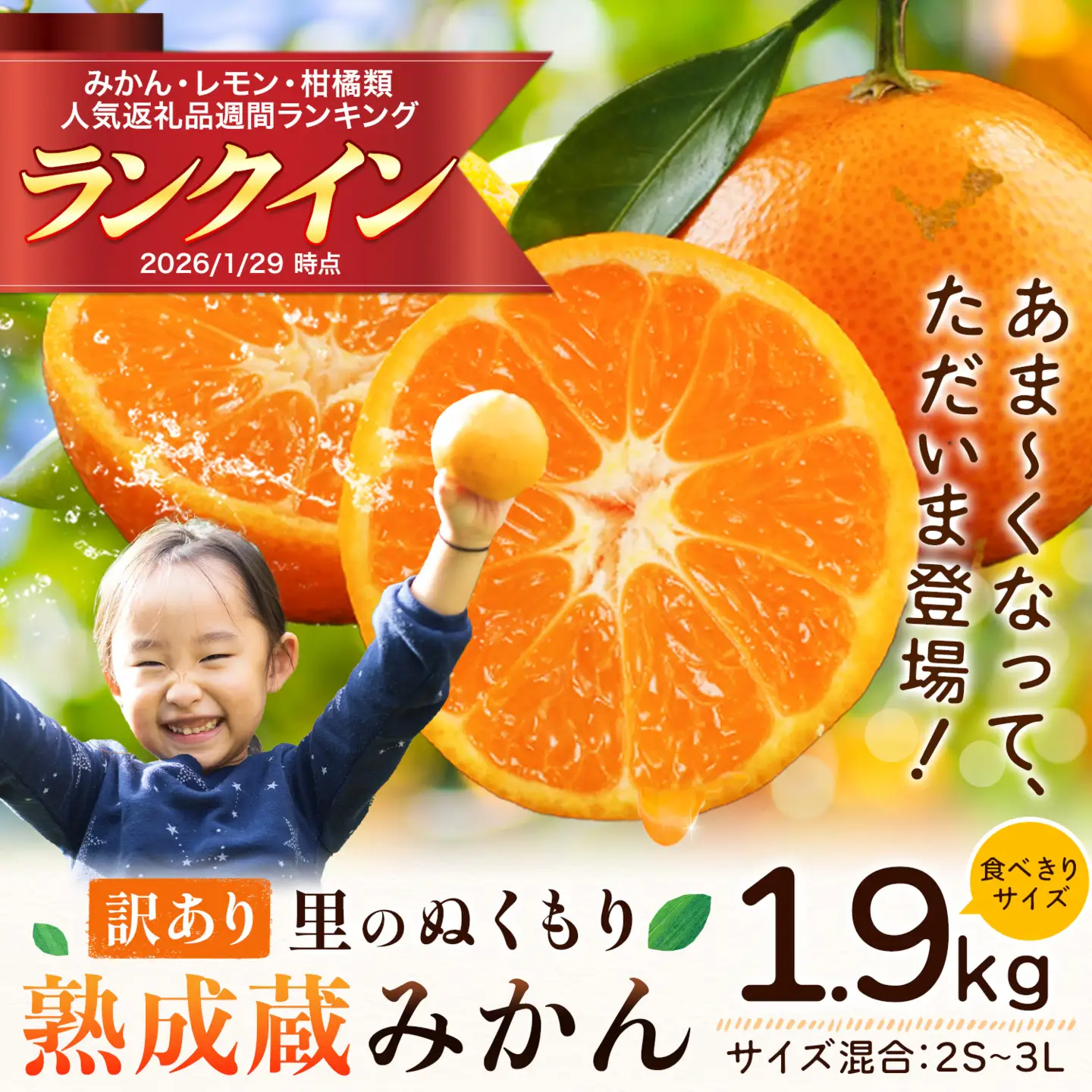 ご家庭用 熟成みかん 1.9kg  ｜みかん  徳島