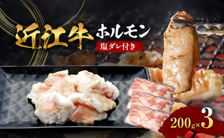 近江牛 ホルモン 塩だれ付き 200ｇ×３ (真空冷凍パック入り)