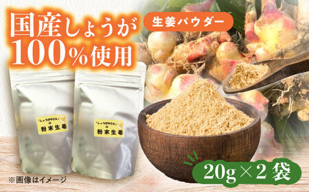 しょうが パウダー 2袋 生姜 粉末【配達不可：離島】[AEAO008]