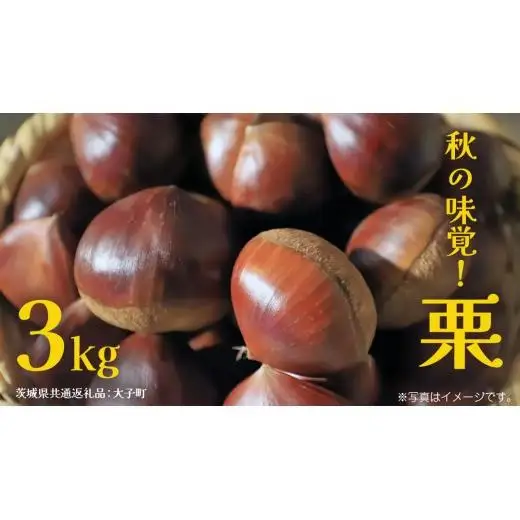 秋の味覚「 栗 」3kg 【2026年9月上旬発送開始】(茨城県共通返礼品：大子町)