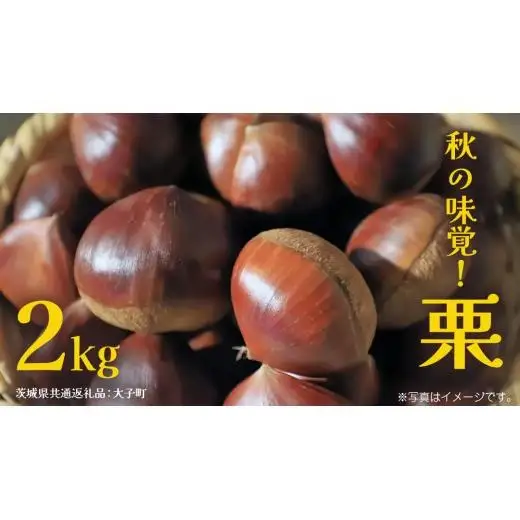 秋の味覚「 栗 」2kg 【2026年9月上旬発送開始】(茨城県共通返礼品：大子町)
