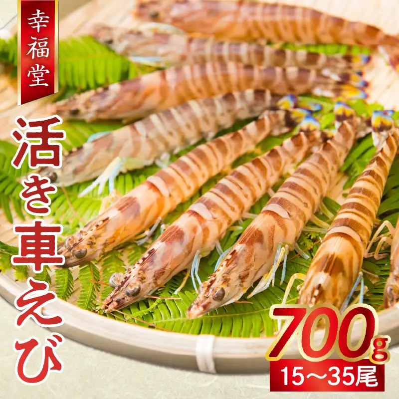 S005-002_【鮮度抜群】厳選・幸福堂の活き車えび(700g)〈先行予約〉 / 車エビ 車海老 エビ えび