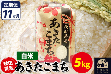 《定期便11ヶ月》あきたこまち 5kg【白米】令和7年産 秋田県産 こまちライン