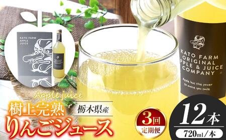 【定期便3回】栃木県矢板市産 樹上完熟100％りんごジュース 720ml×12本入  | 林檎 リンゴ 果汁100% 産地直送 (毎月お届け）  