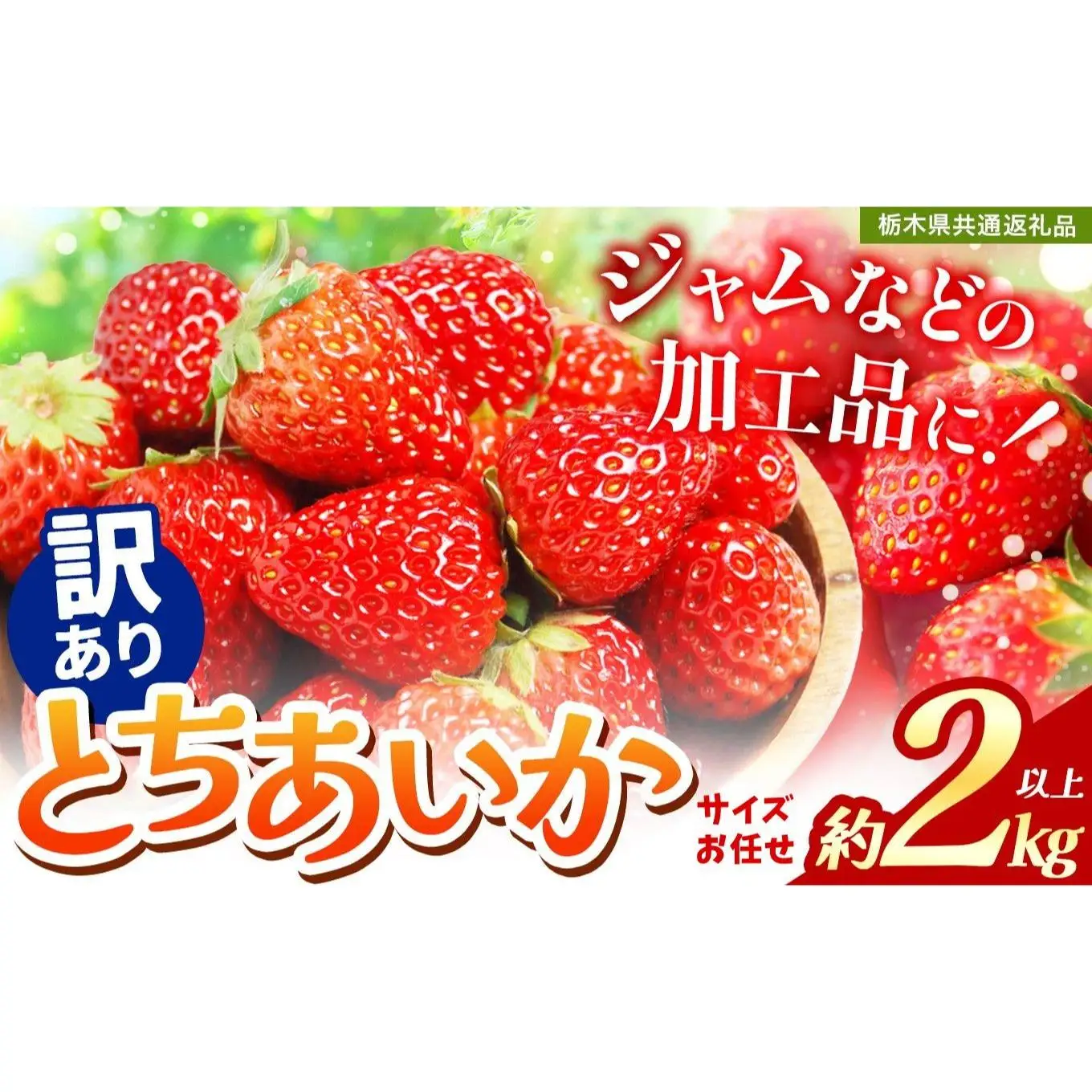2027年 先行予約受付中！【訳あり】不揃いとちあいか2kg以上| 訳あり 栃木県共通返礼品 いちご 人気 デザート 栃木県 矢板市