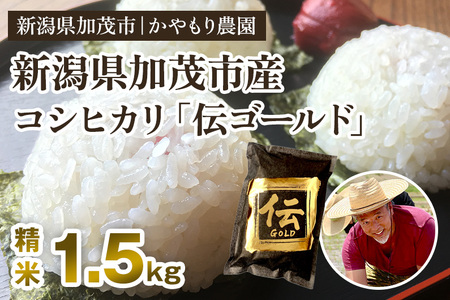 【令和7年産】新潟産コシヒカリ「伝ゴールド」白米真空パック 精米1.5kg