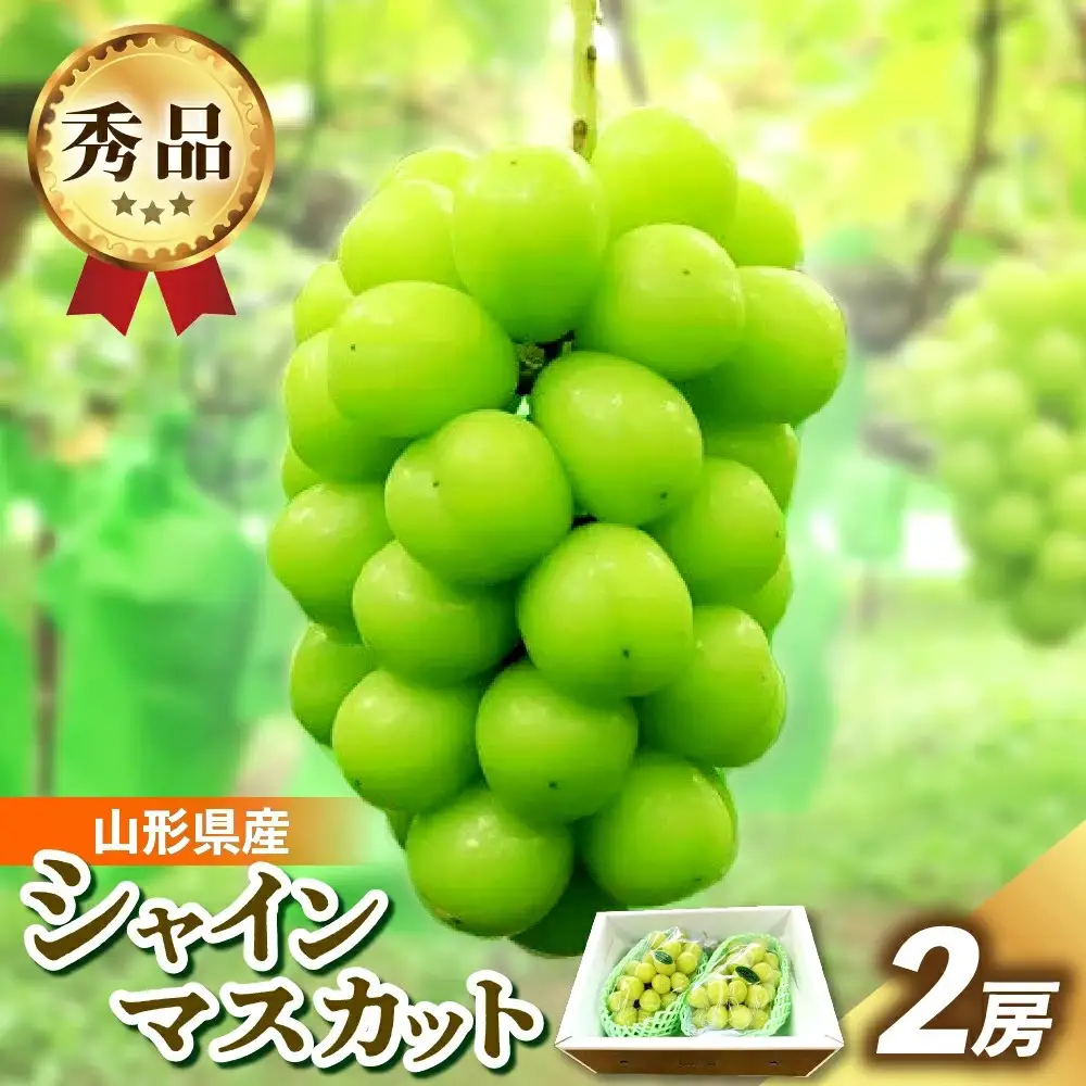 シャインマスカット　２房　合計１.４ｋｇ　0049-2608
