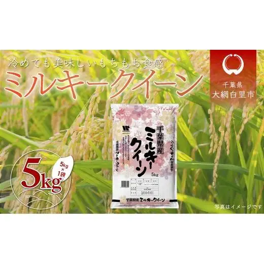 令和7年産 千葉県産「ミルキークイーン」5kg / お米 5キロ 千葉県産 大網白里市 ミルキークイーン 米 精米 こめ A050