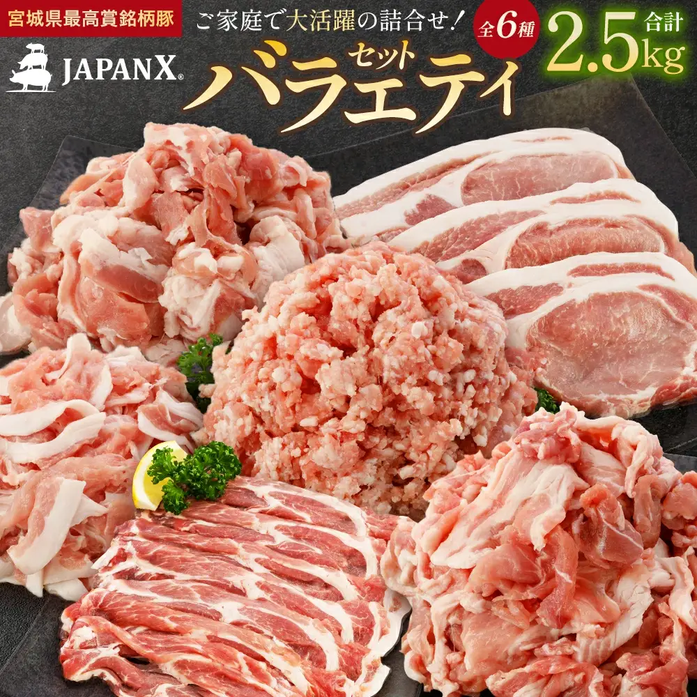 JAPAN X バラエティセット 第2弾 6種 2.5㎏　豚肉 豚 ブランド豚 小分け バラエティセット 豚こま 豚バラ 豚ロース ひき肉 ジャパンエックス 蔵王 人気　【04301-0888】
