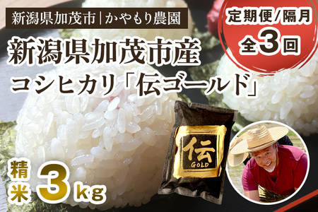 【令和7年産】【定期便3回隔月お届け】新潟産コシヒカリ「伝ゴールド」白米真空パック 精米3kg（1.5kg×2）