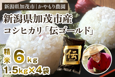 【令和7年産】新潟産コシヒカリ「伝ゴールド」白米真空パック 精米6kg（1.5kg×4）