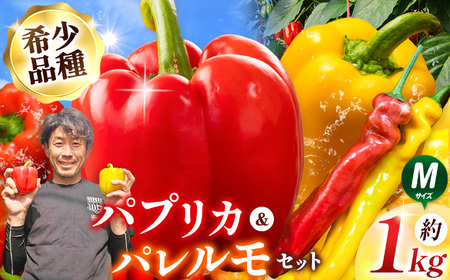 【先行受付】パプリカ＆パレルモ(希少品種)　Mセット　約1kg 
