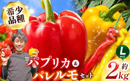 【先行受付】パプリカ＆パレルモ(希少品種) Lセット　約2kg