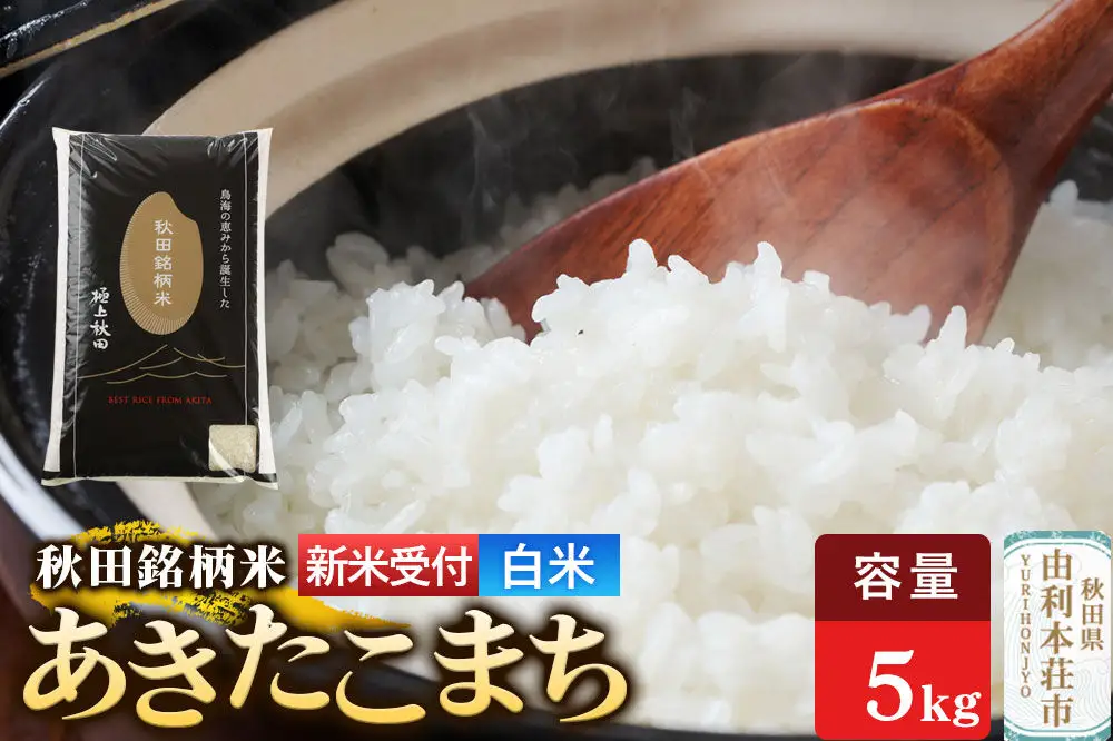 《令和8年産 新米受付》【白米】極上秋田銘柄米 あきたこまち 5kg